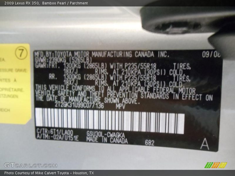 Bamboo Pearl / Parchment 2009 Lexus RX 350