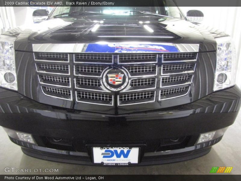 Black Raven / Ebony/Ebony 2009 Cadillac Escalade ESV AWD