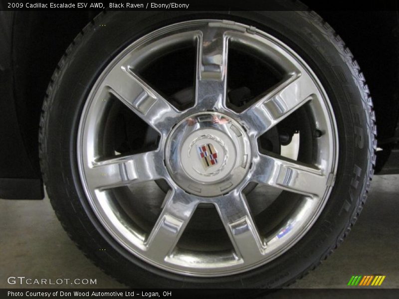 Black Raven / Ebony/Ebony 2009 Cadillac Escalade ESV AWD