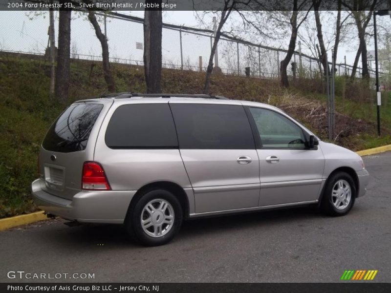 Silver Birch Metallic / Pebble Beige 2004 Ford Freestar SEL