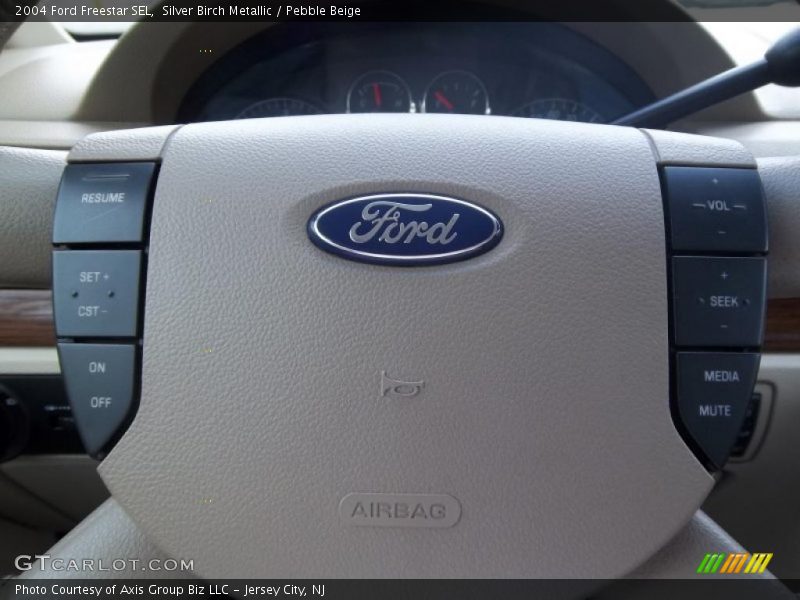 Silver Birch Metallic / Pebble Beige 2004 Ford Freestar SEL
