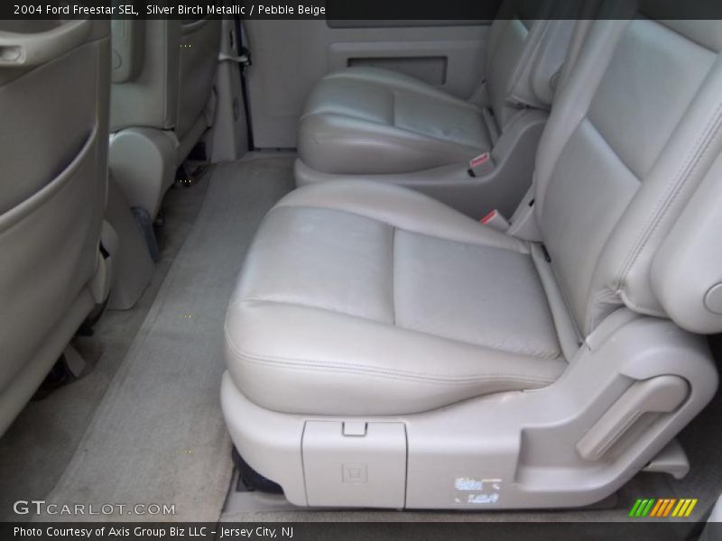 Silver Birch Metallic / Pebble Beige 2004 Ford Freestar SEL