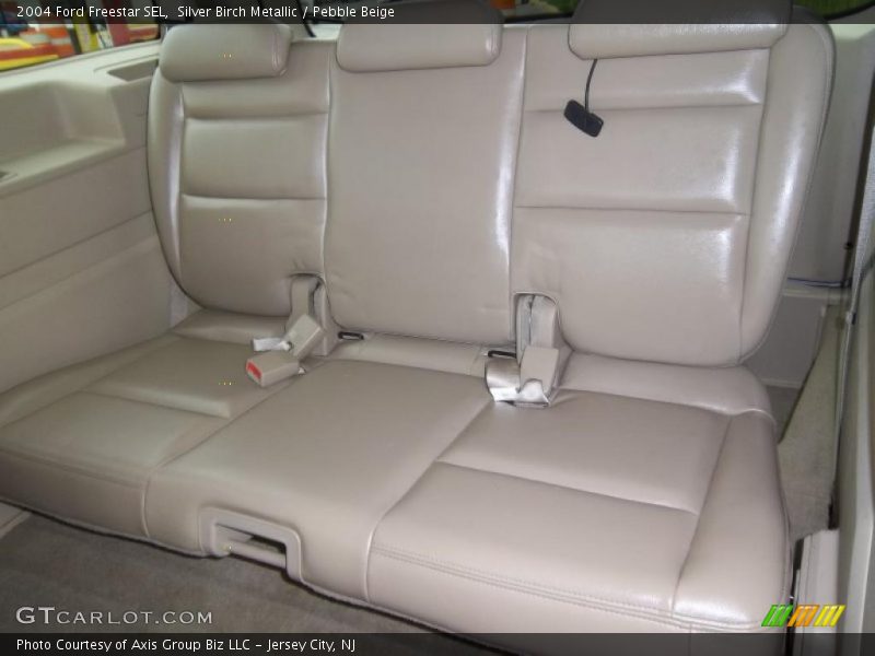 Silver Birch Metallic / Pebble Beige 2004 Ford Freestar SEL