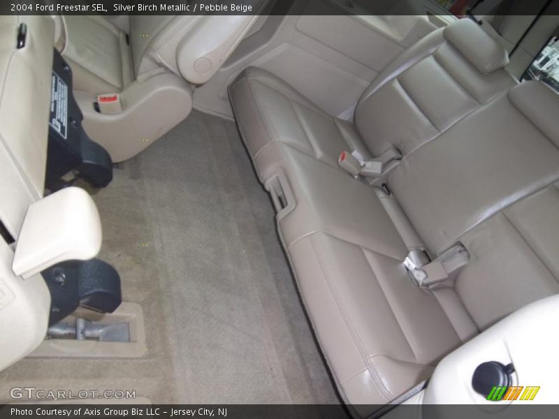 Silver Birch Metallic / Pebble Beige 2004 Ford Freestar SEL