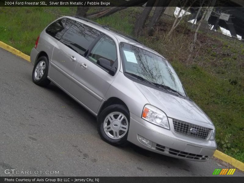 Silver Birch Metallic / Pebble Beige 2004 Ford Freestar SEL