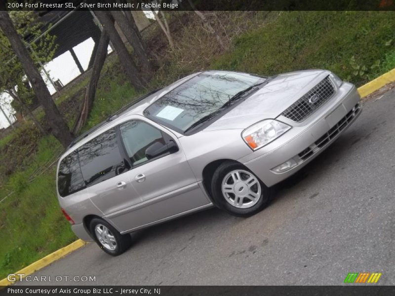 Silver Birch Metallic / Pebble Beige 2004 Ford Freestar SEL