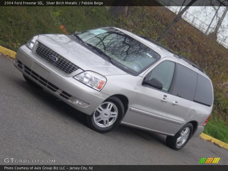 Silver Birch Metallic / Pebble Beige 2004 Ford Freestar SEL