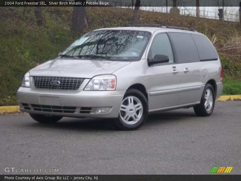 Silver Birch Metallic / Pebble Beige 2004 Ford Freestar SEL
