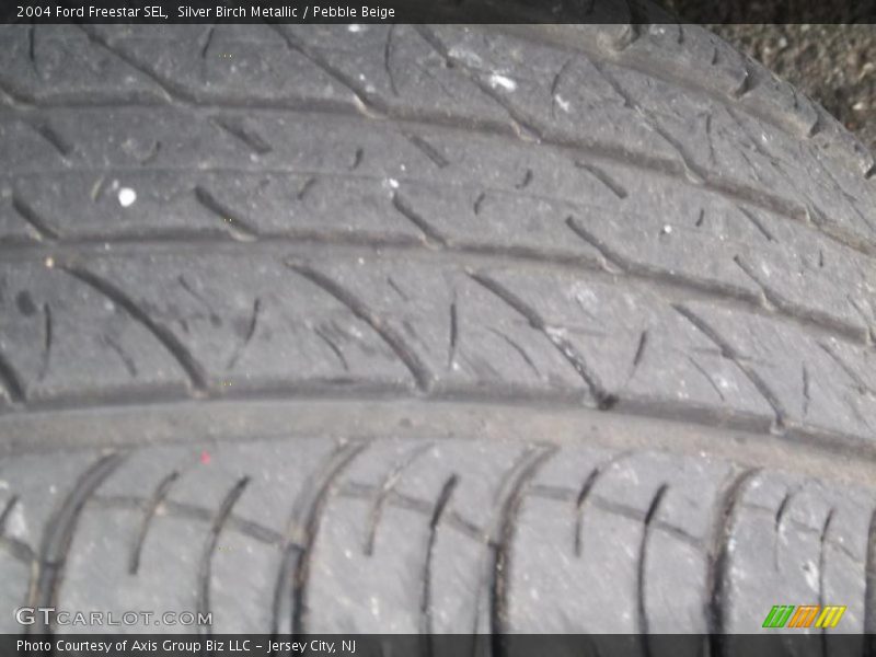 Silver Birch Metallic / Pebble Beige 2004 Ford Freestar SEL