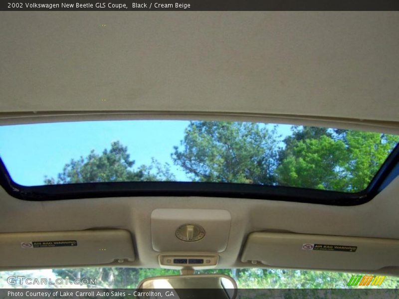 Black / Cream Beige 2002 Volkswagen New Beetle GLS Coupe