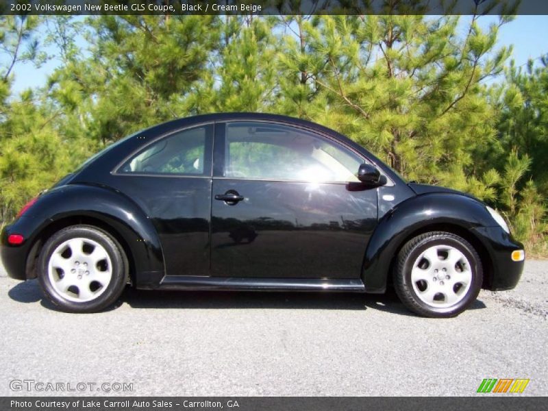 Black / Cream Beige 2002 Volkswagen New Beetle GLS Coupe