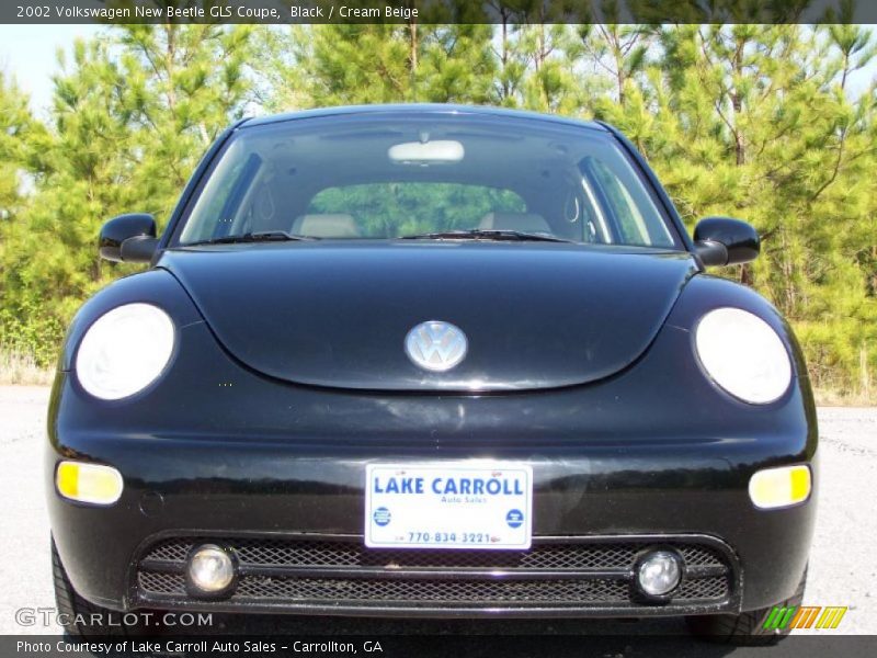 Black / Cream Beige 2002 Volkswagen New Beetle GLS Coupe