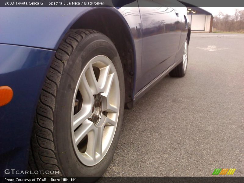 Spectra Blue Mica / Black/Silver 2003 Toyota Celica GT