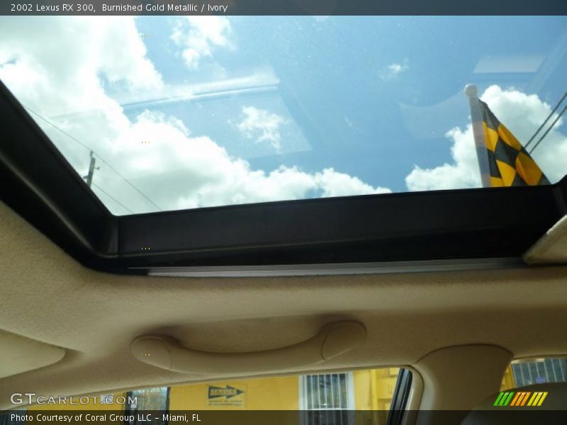 Burnished Gold Metallic / Ivory 2002 Lexus RX 300