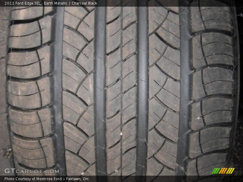 Earth Metallic / Charcoal Black 2011 Ford Edge SEL