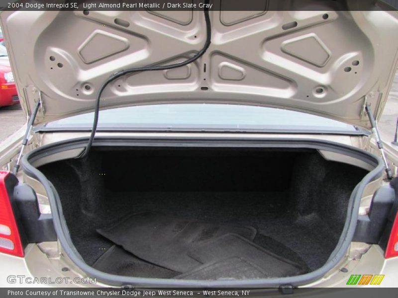 Light Almond Pearl Metallic / Dark Slate Gray 2004 Dodge Intrepid SE