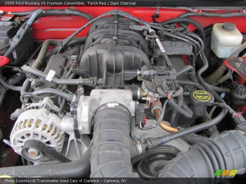 Torch Red / Dark Charcoal 2006 Ford Mustang V6 Premium Convertible