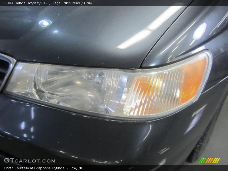 Sage Brush Pearl / Gray 2004 Honda Odyssey EX-L