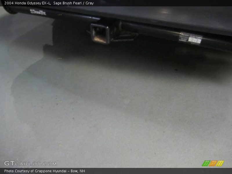 Sage Brush Pearl / Gray 2004 Honda Odyssey EX-L