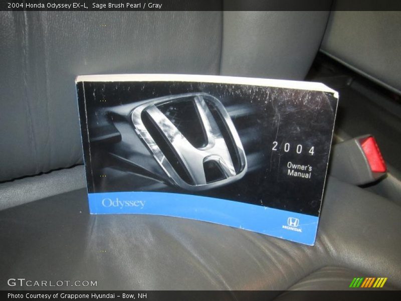 Sage Brush Pearl / Gray 2004 Honda Odyssey EX-L