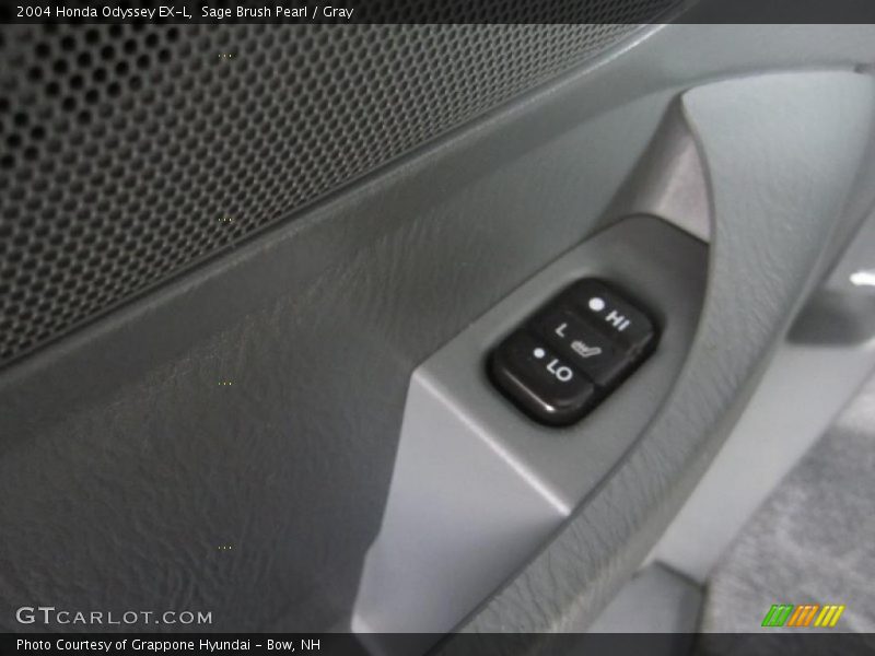 Sage Brush Pearl / Gray 2004 Honda Odyssey EX-L
