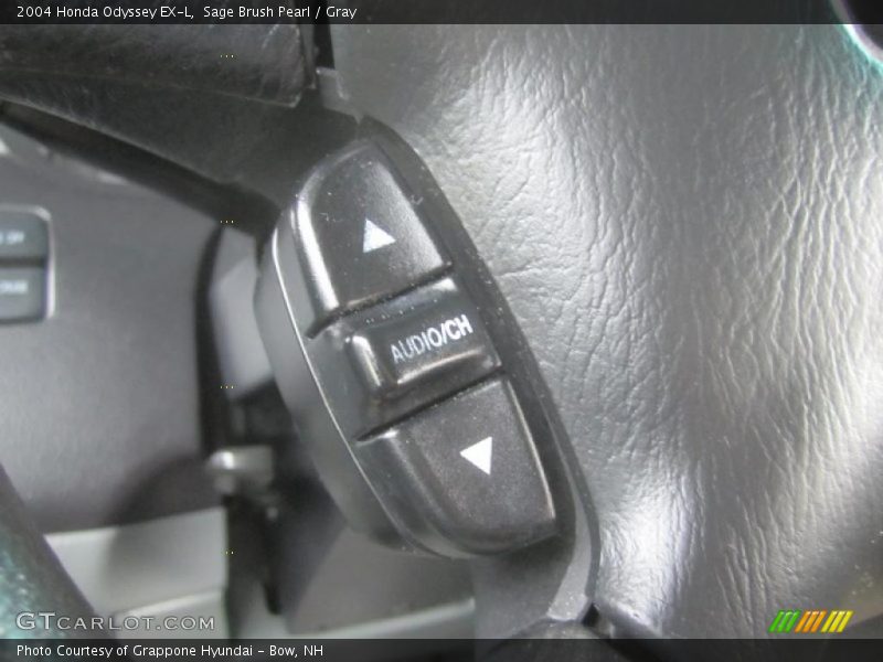 Sage Brush Pearl / Gray 2004 Honda Odyssey EX-L