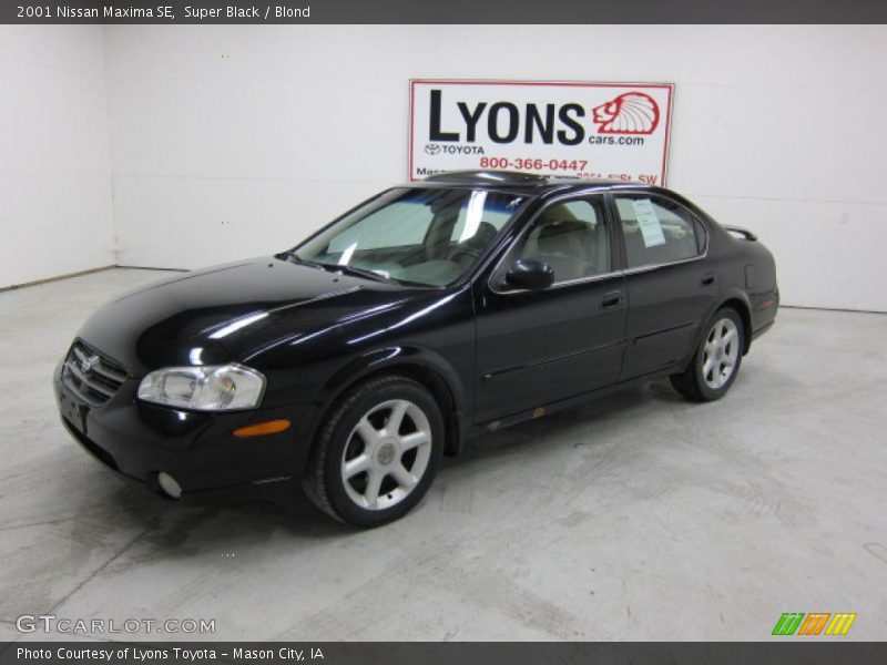 Super Black / Blond 2001 Nissan Maxima SE