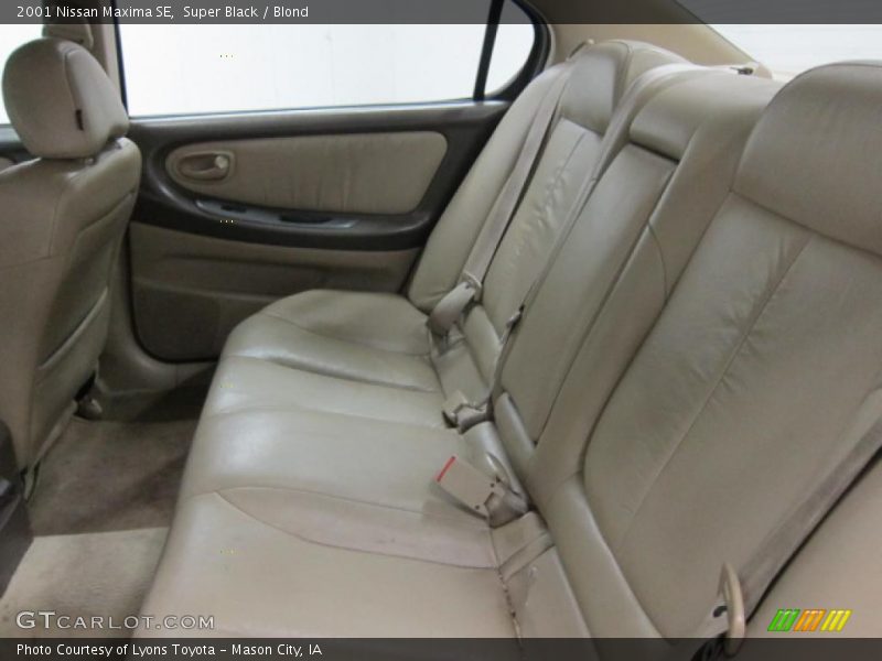 Super Black / Blond 2001 Nissan Maxima SE