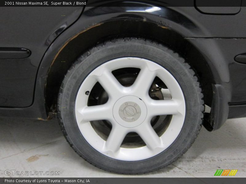 Super Black / Blond 2001 Nissan Maxima SE