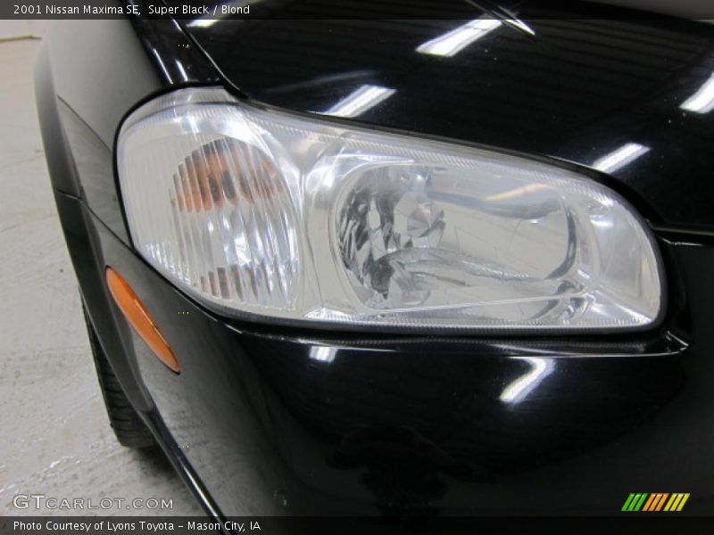 Super Black / Blond 2001 Nissan Maxima SE