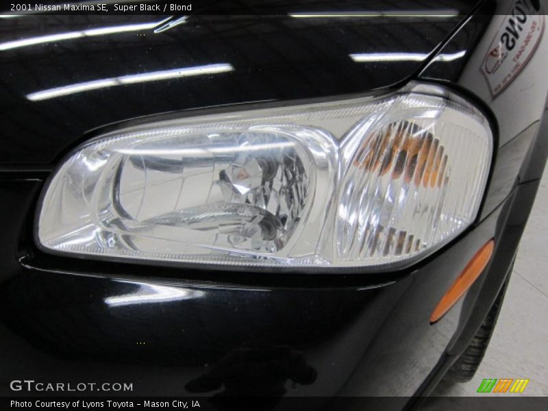 Super Black / Blond 2001 Nissan Maxima SE