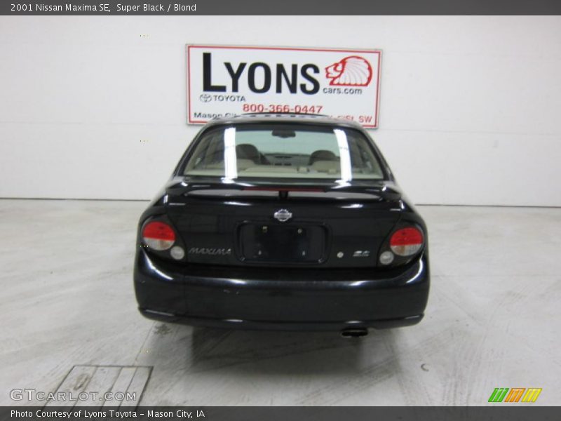 Super Black / Blond 2001 Nissan Maxima SE