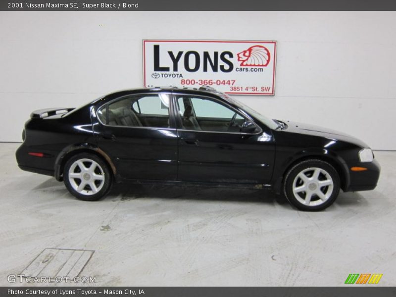 Super Black / Blond 2001 Nissan Maxima SE