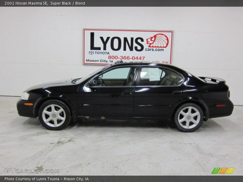 Super Black / Blond 2001 Nissan Maxima SE