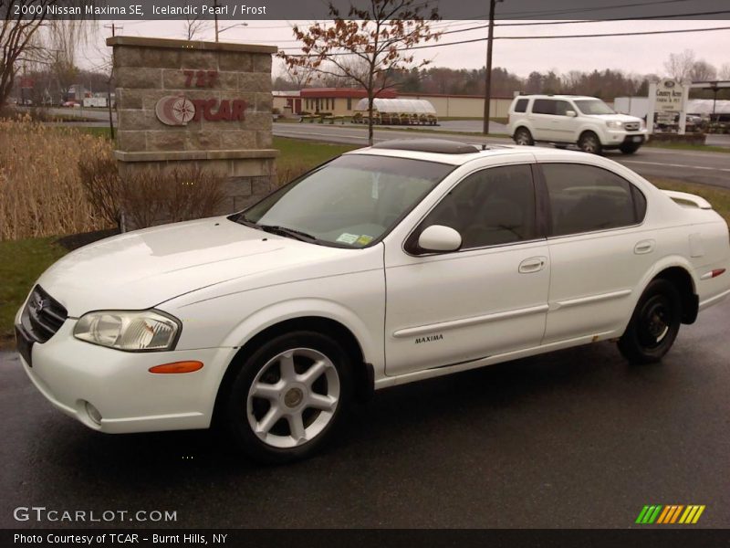 Icelandic Pearl / Frost 2000 Nissan Maxima SE