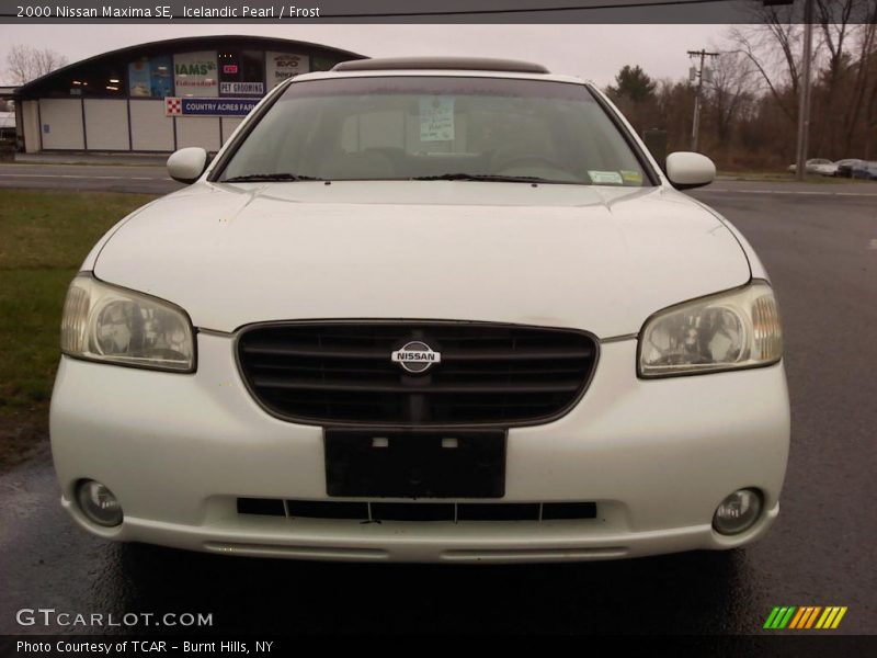 Icelandic Pearl / Frost 2000 Nissan Maxima SE