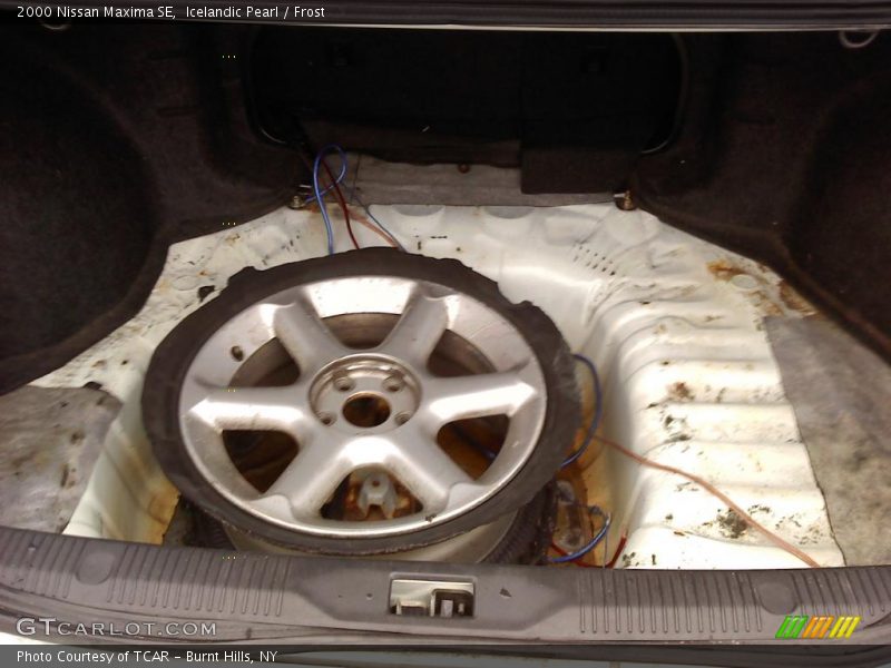 Icelandic Pearl / Frost 2000 Nissan Maxima SE