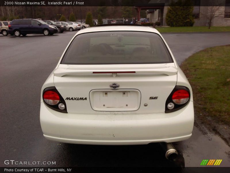 Icelandic Pearl / Frost 2000 Nissan Maxima SE