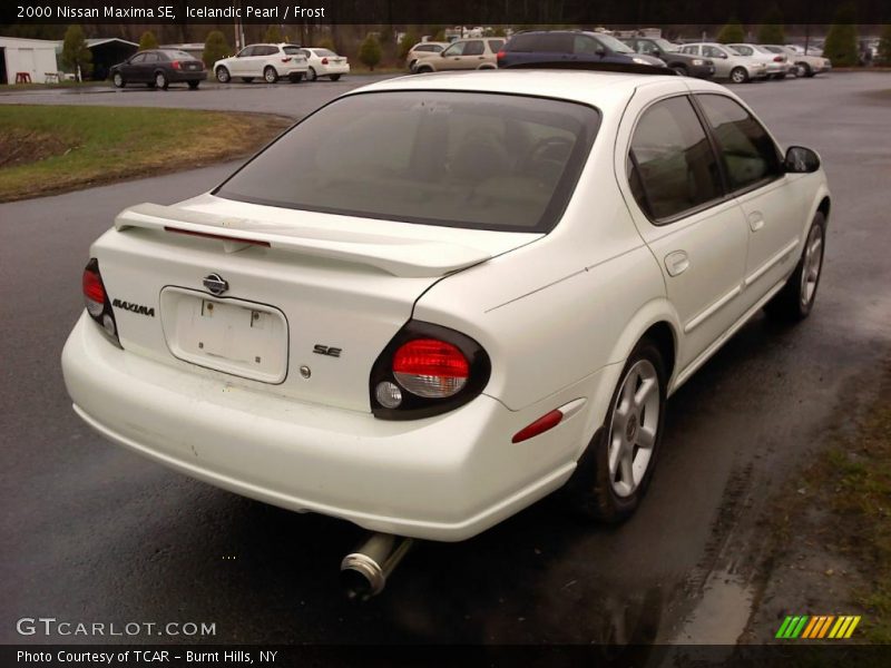 Icelandic Pearl / Frost 2000 Nissan Maxima SE