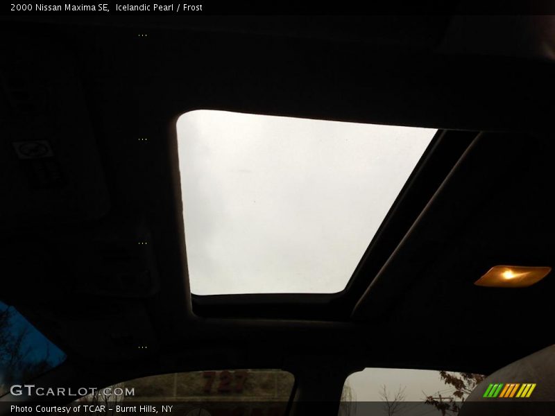 Icelandic Pearl / Frost 2000 Nissan Maxima SE