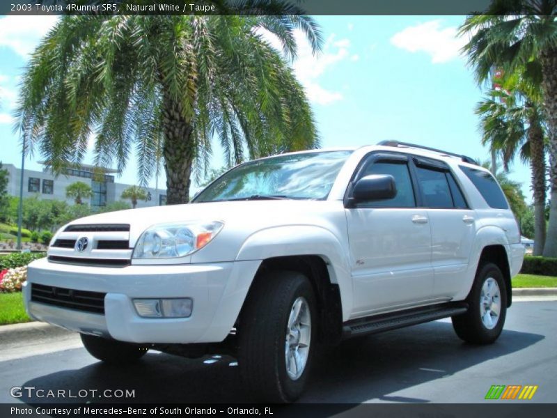 Front 3/4 View of 2003 4Runner SR5