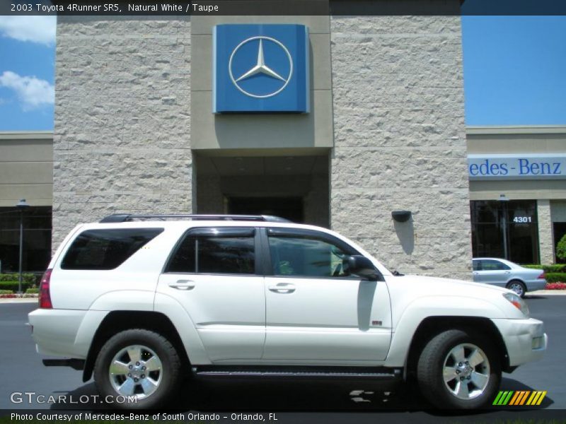 Natural White / Taupe 2003 Toyota 4Runner SR5