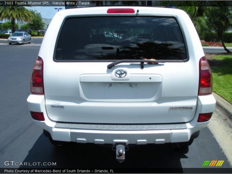 Natural White / Taupe 2003 Toyota 4Runner SR5