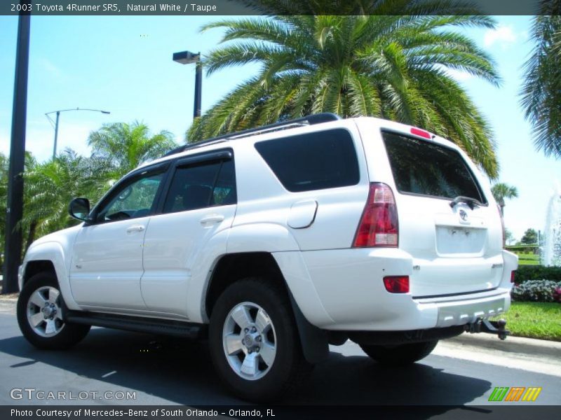 Natural White / Taupe 2003 Toyota 4Runner SR5