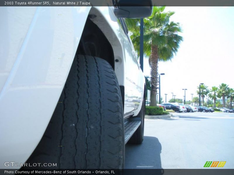 Natural White / Taupe 2003 Toyota 4Runner SR5