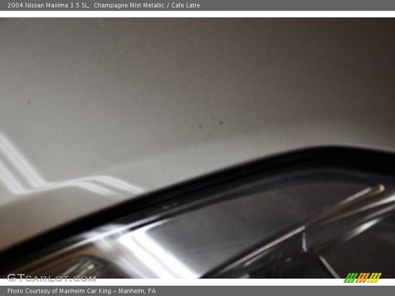 Champagne Mist Metallic / Cafe Latte 2004 Nissan Maxima 3.5 SL