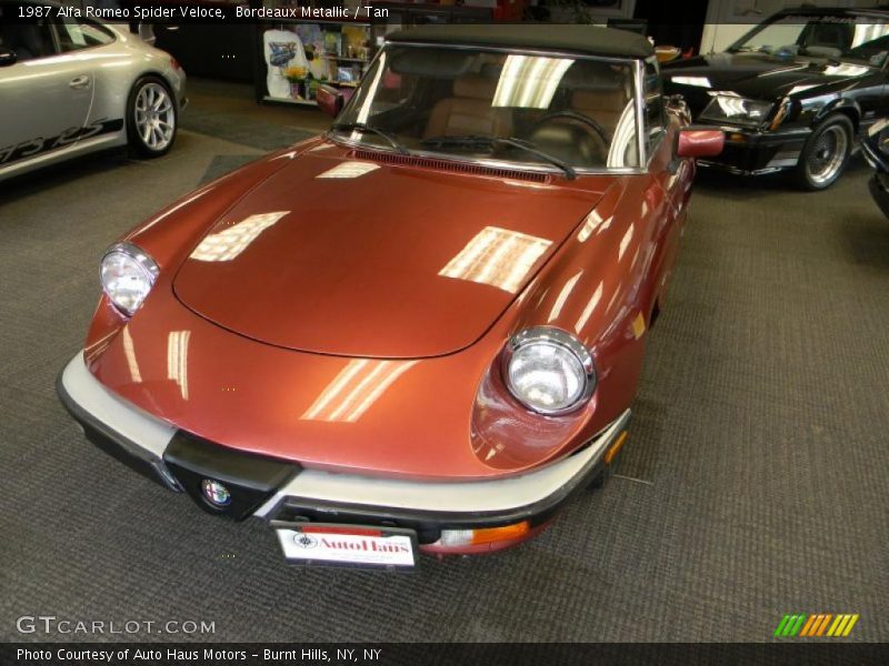Bordeaux Metallic / Tan 1987 Alfa Romeo Spider Veloce