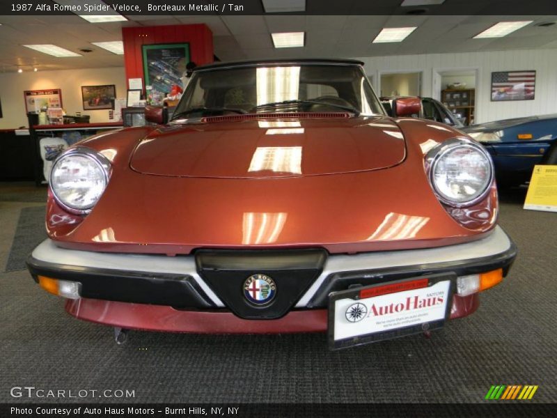 Bordeaux Metallic / Tan 1987 Alfa Romeo Spider Veloce