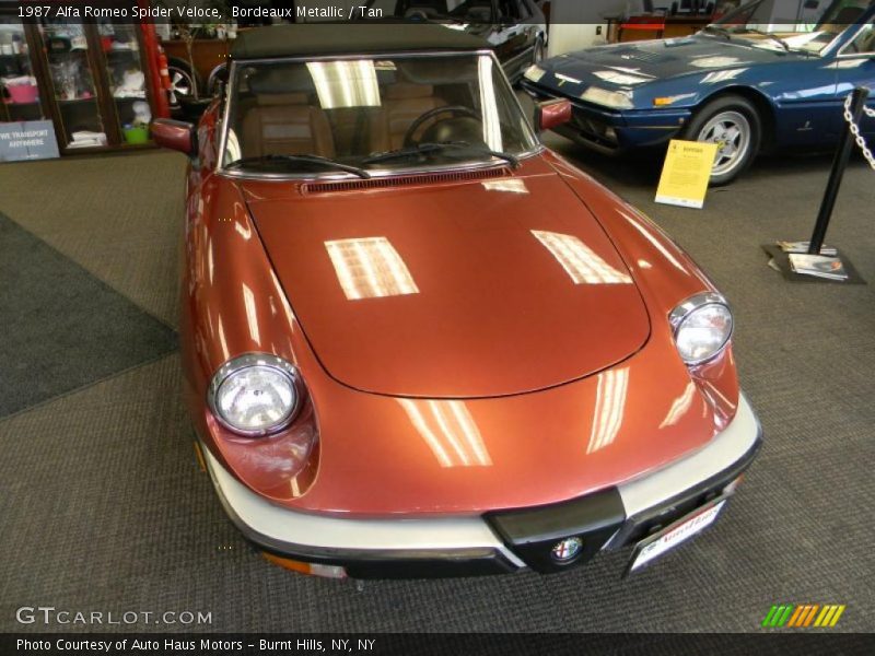 Bordeaux Metallic / Tan 1987 Alfa Romeo Spider Veloce
