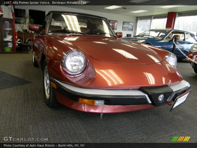 Bordeaux Metallic / Tan 1987 Alfa Romeo Spider Veloce